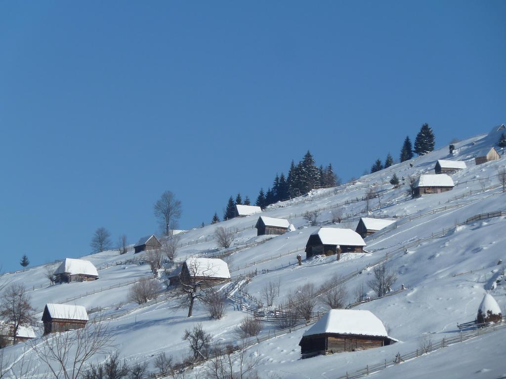 Ranger Chalet Moeciu De Sus Zimmer foto