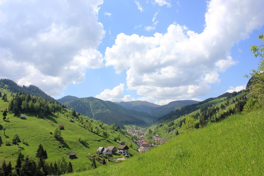 Ranger Chalet Moeciu De Sus Zimmer foto